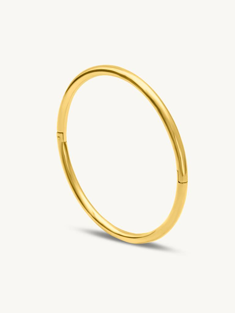Stainless Steel Women'S Classic Gold Bangle Bracelet : BR127