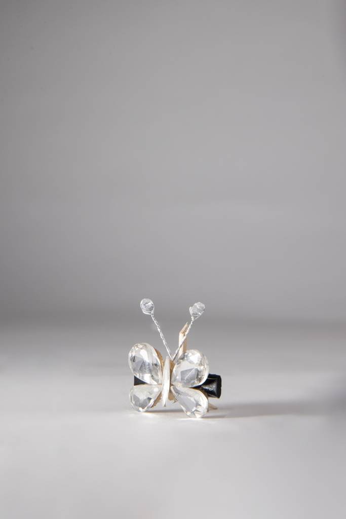Crystal Butterfly Clips Pair : BSJCL06