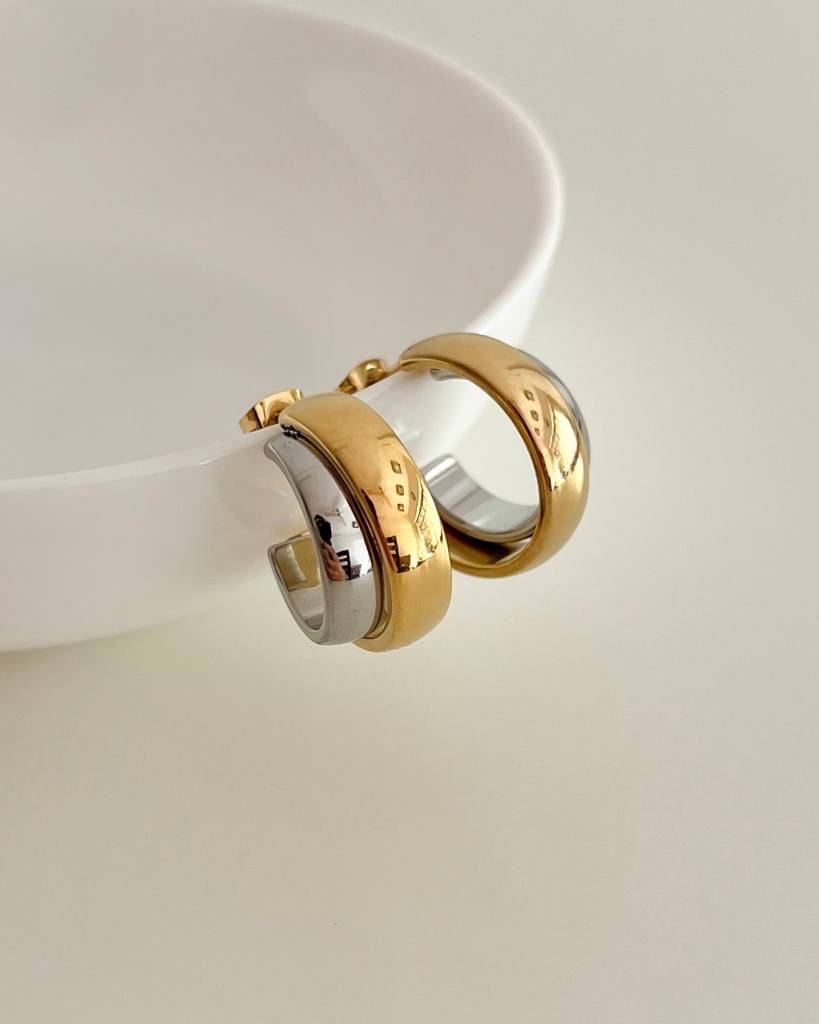 18K Gold Plated Bri Two Toned Earrings : E86