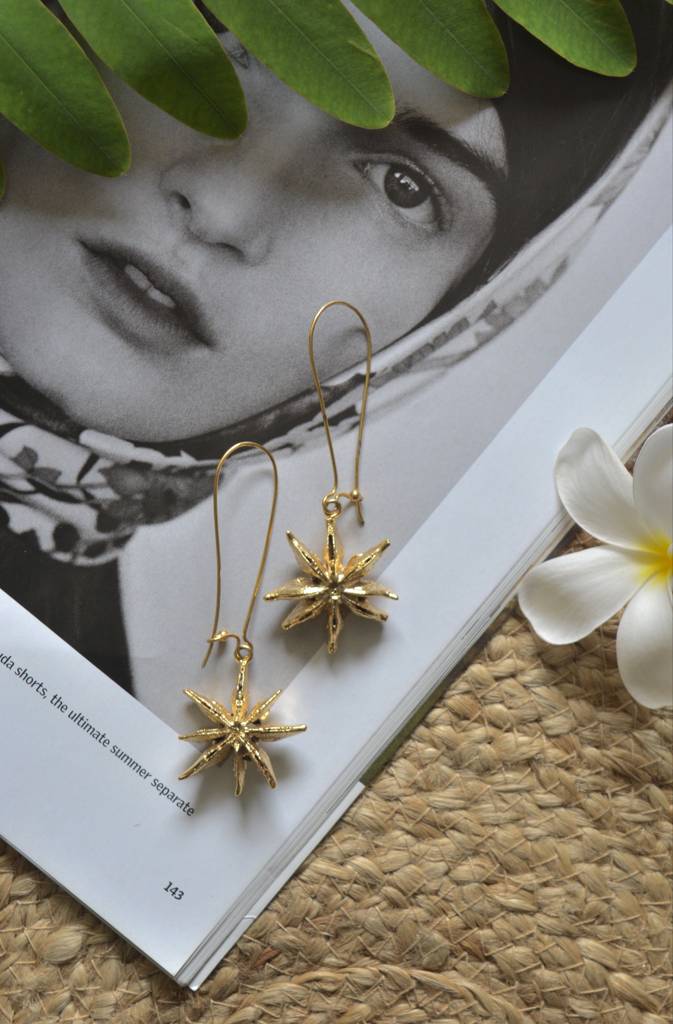 Star Earrings : StarEarrings