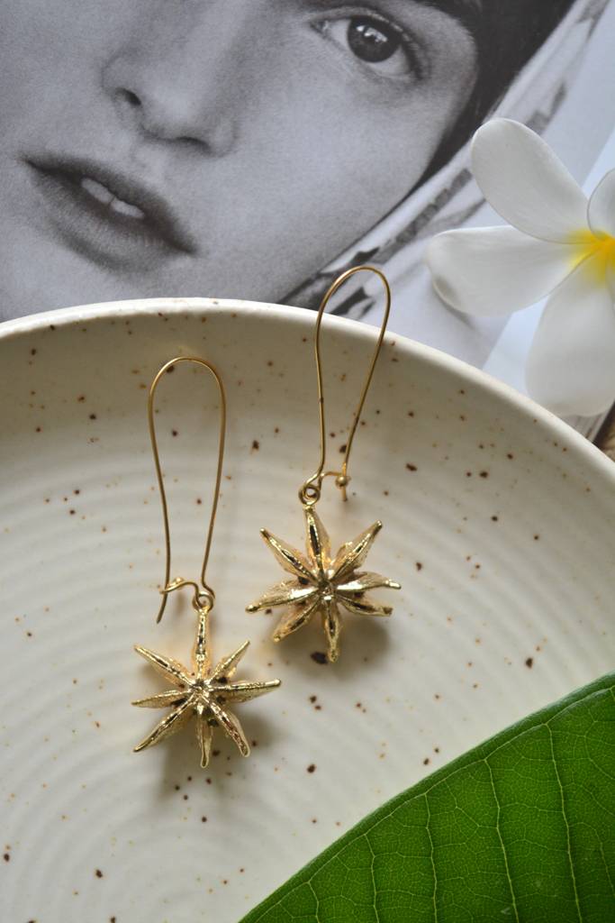 Star Earrings : StarEarrings