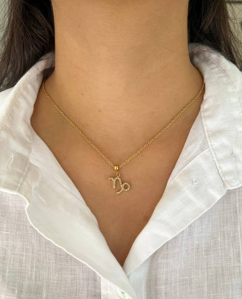 18K Gold Plated Zodiac Sign Necklace : N86L