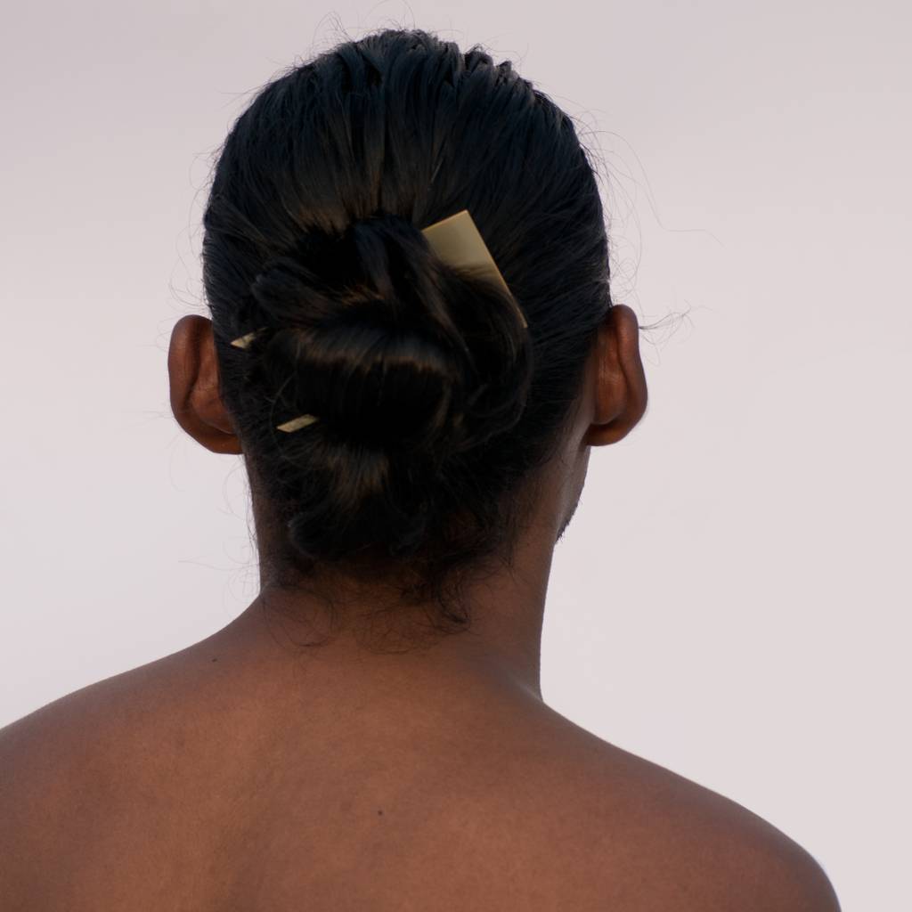 All Hail The Mane : NNM-C02-H01-Hal-Ss-Go