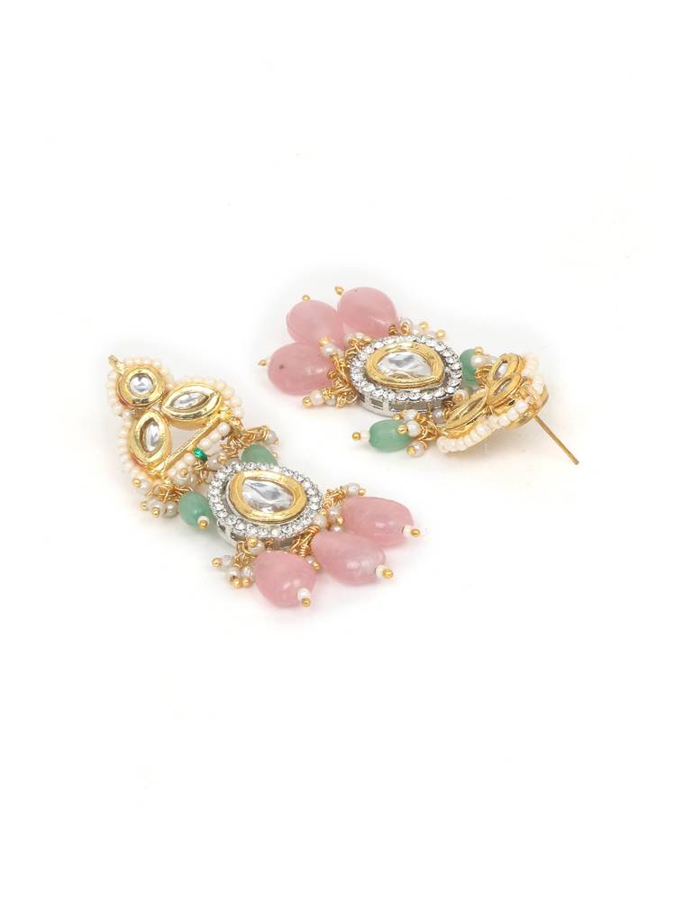 Gulmohar Drop Earring : DGED24072