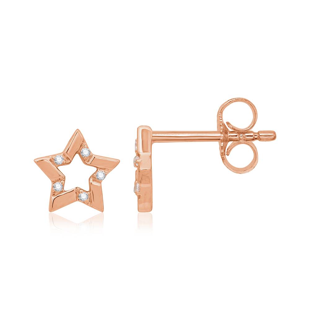 Rock Star Stud Earrings : E935