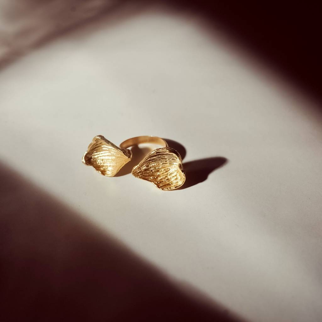 Promise : NIH097RI12-Promise