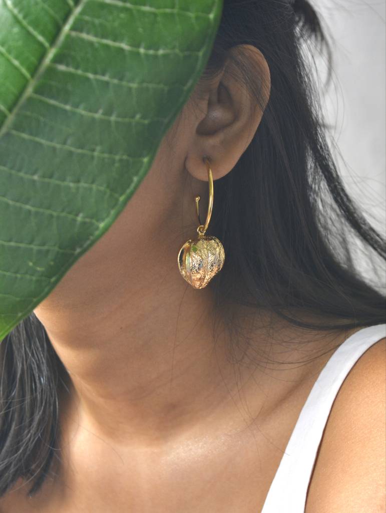 Butternut Hoops : ButternutHoops