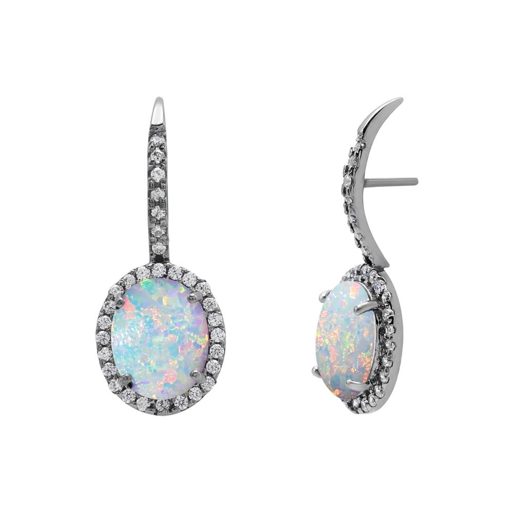 Shimmering Spectrum Earrings : E2923