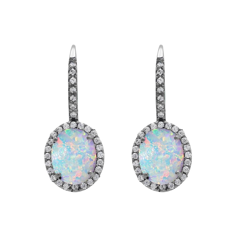 Shimmering Spectrum Earrings : E2923