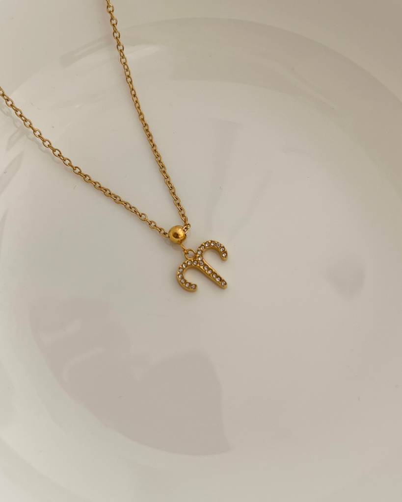 18K Gold Plated Zodiac Sign Necklace : N86C