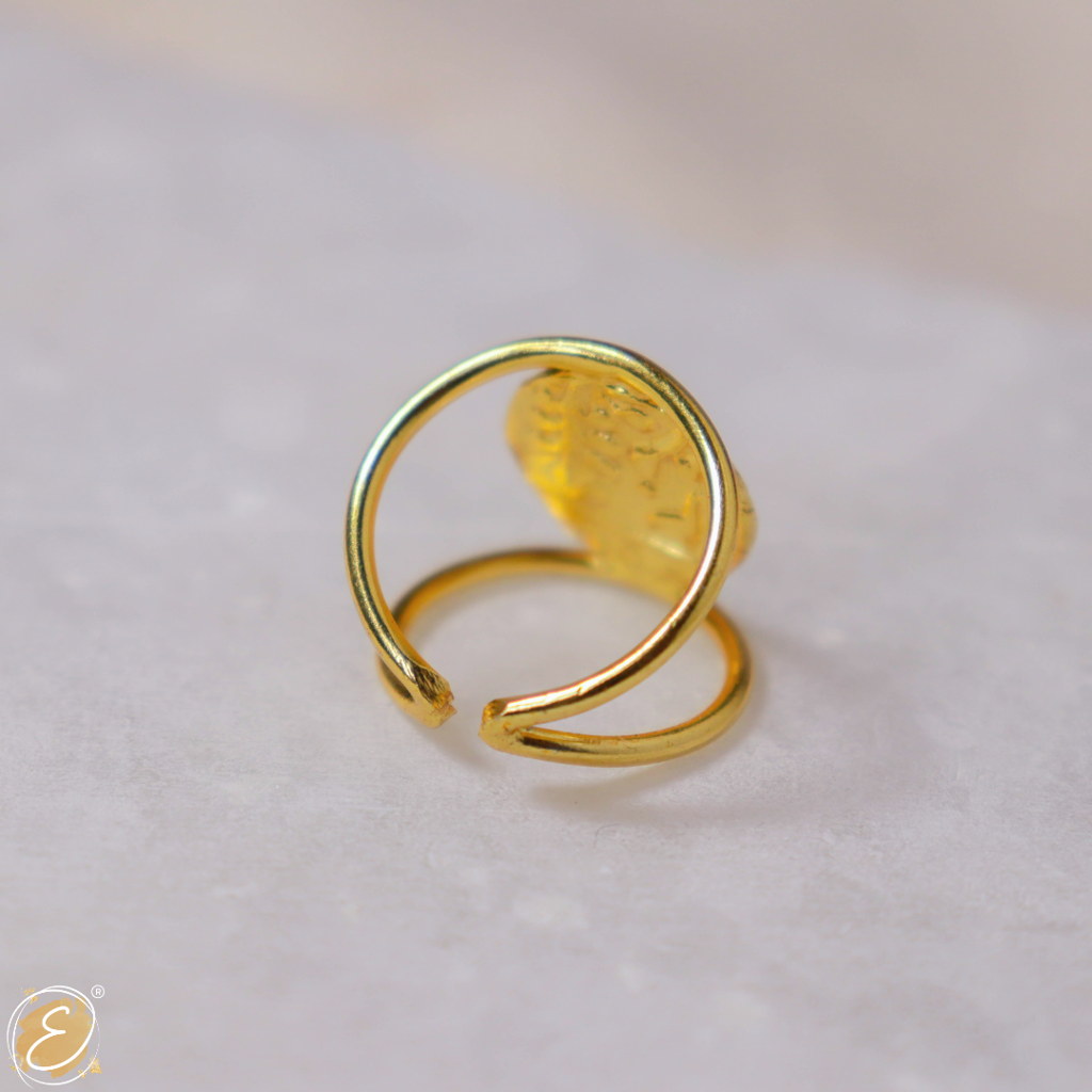 Indus Ring