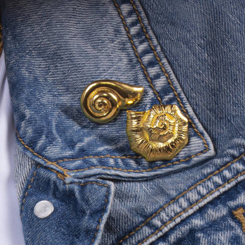 Moon Snail Brooch