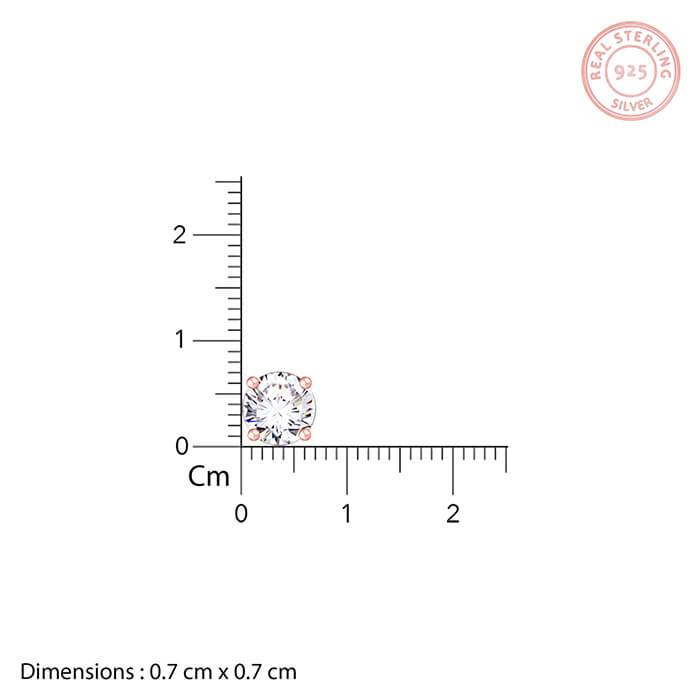 Rose Gold Classic Zircon Earrings : ER01276