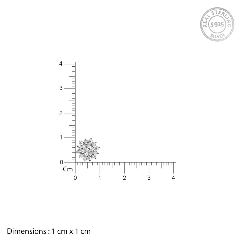 Anushka Sharma Silver Zircon Shining Star Studs : ER0148