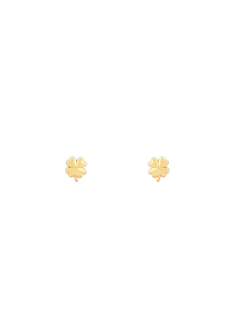 Giva 925 Silver Golden Kismet Earrings : ER01914
