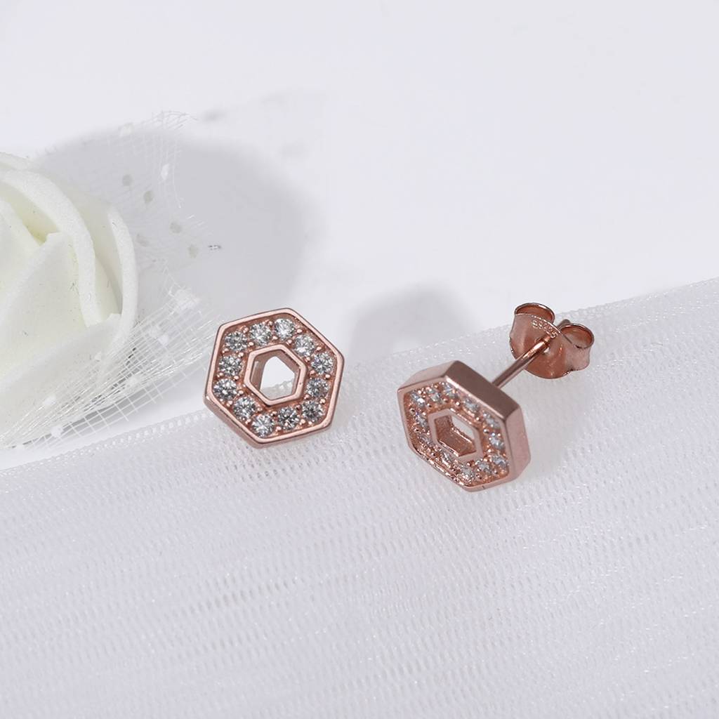 Rose Gold Hexagon Geometry Earrings : ER0270