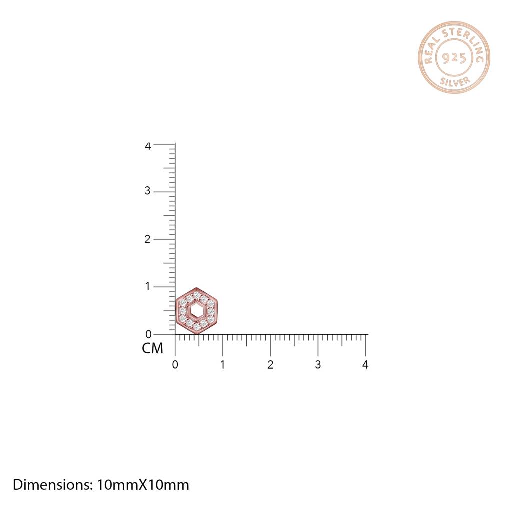 Rose Gold Hexagon Geometry Earrings : ER0270