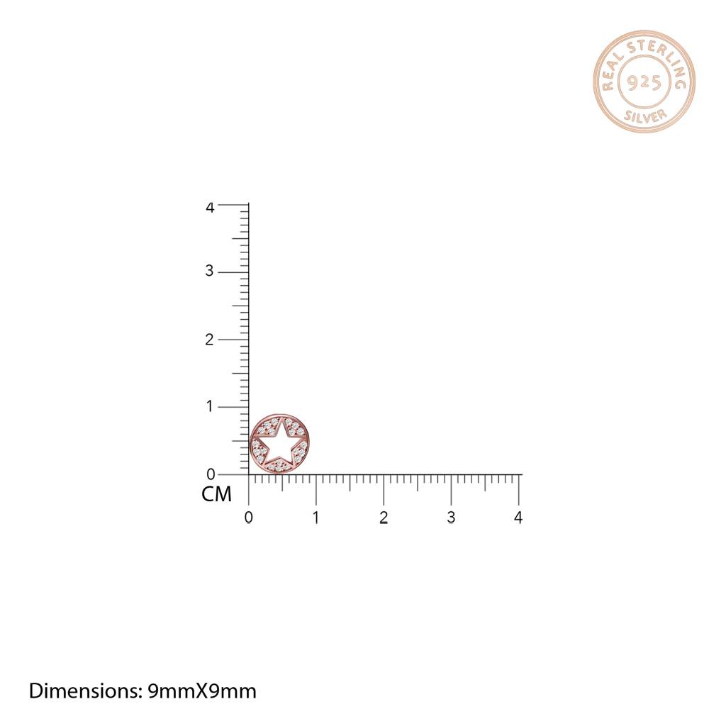 Rose Gold Star Earrings : ER0271
