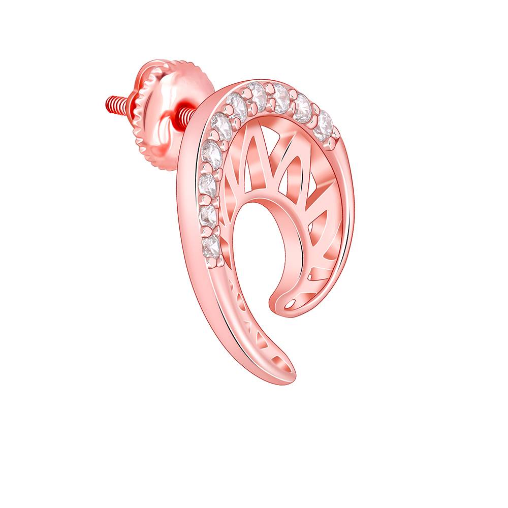 Rose Gold Dreamy Curve Earrings : ER02871