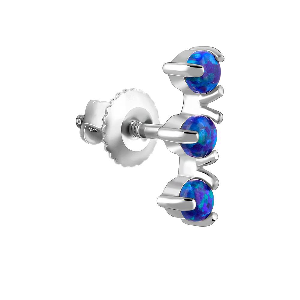 925 Silver Elegantly Attractive Earrings : ER02903