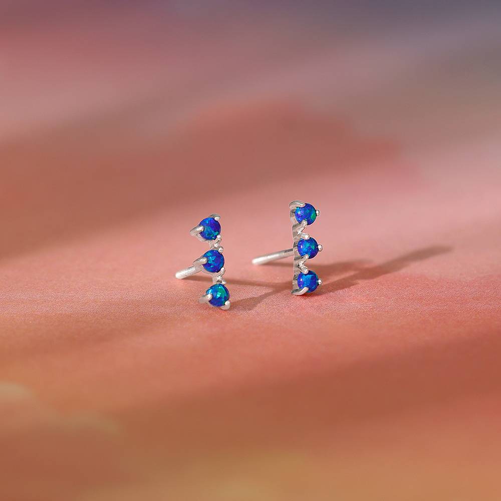 925 Silver Elegantly Attractive Earrings : ER02903