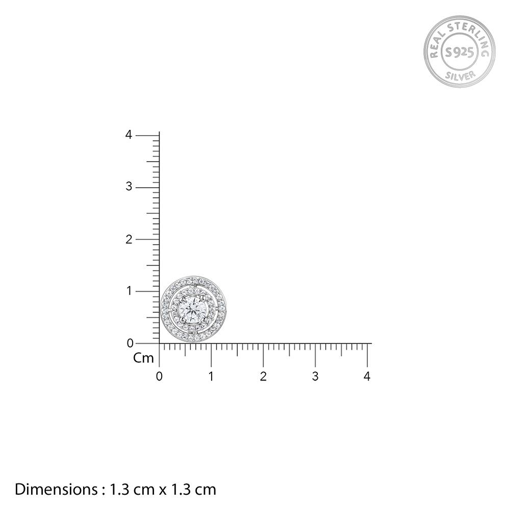 925 Silver Stand Out Studs : ER03053