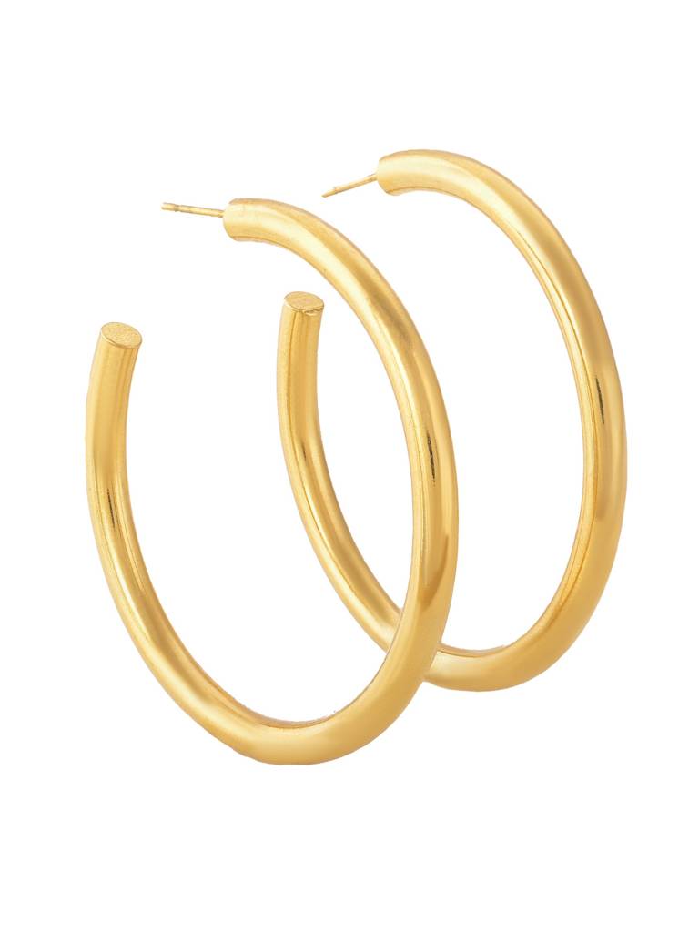 Stainless Steel C-Shaped Hoop Earrings : ER108-G
