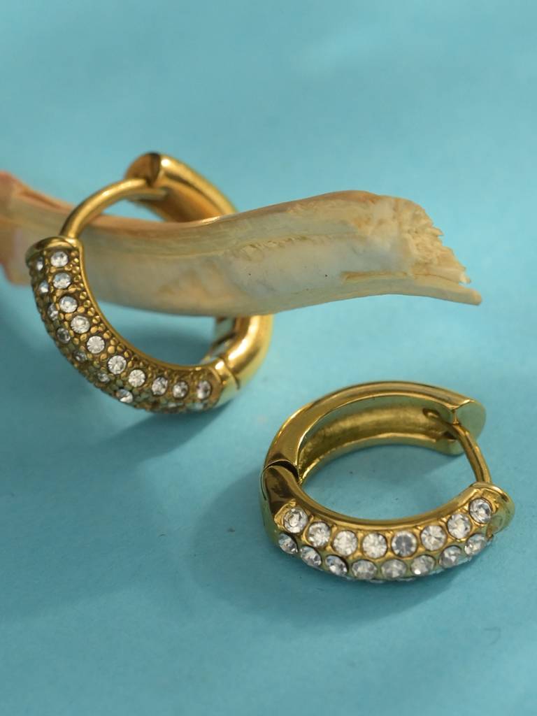 Diamond Huggie Hoop Earrings For Womens Waterproof & Anti-Tarnish : ER159