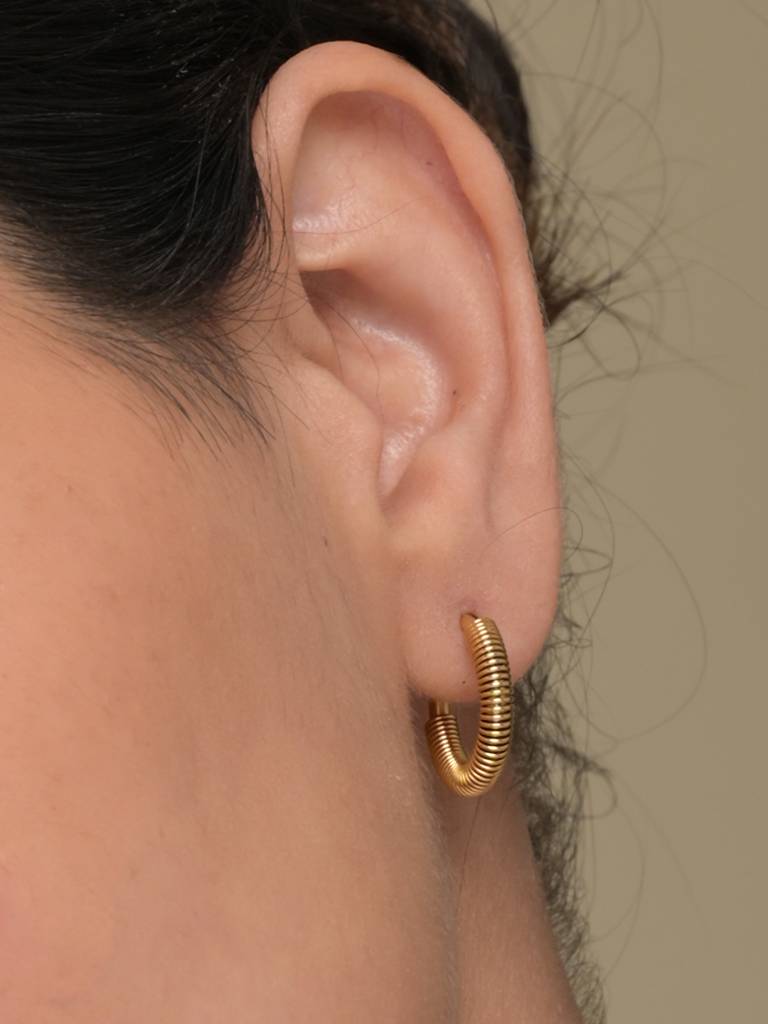 Spring Stainless Steel Hoop Earrings : ER182