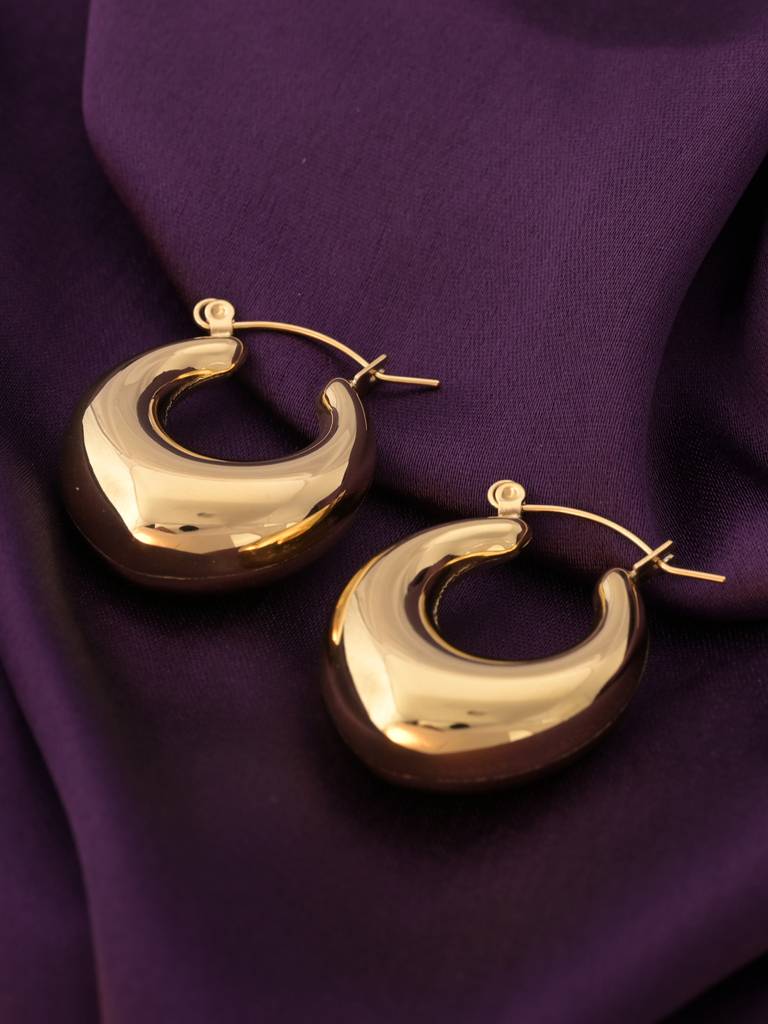 Women'S Stainless Steel Drop Hoop Earrings : ER198
