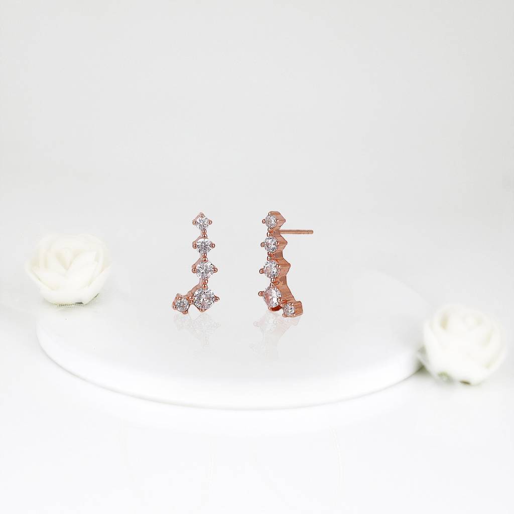 925 Silver Rosegold Sparkling Constellation Earrings : ER0209