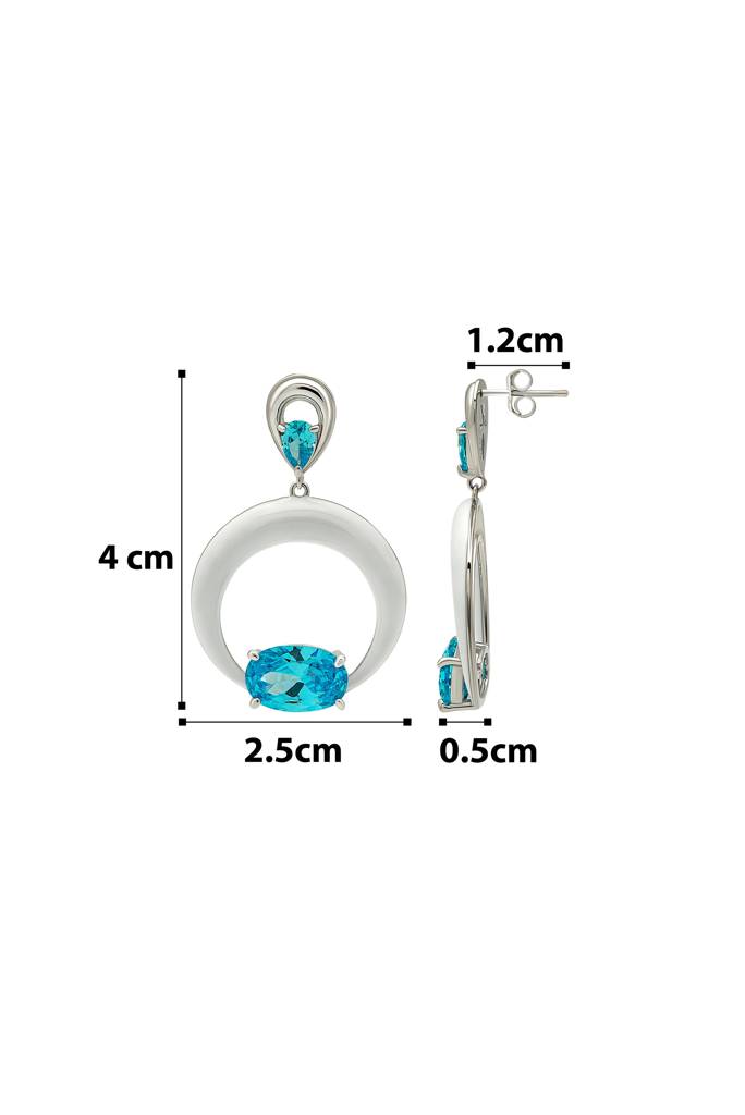 Silberry 925 Sterling Silver Blue Frost Earrings : ER2622