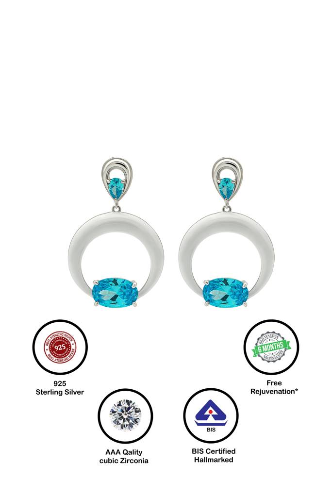 Silberry 925 Sterling Silver Blue Frost Earrings : ER2622