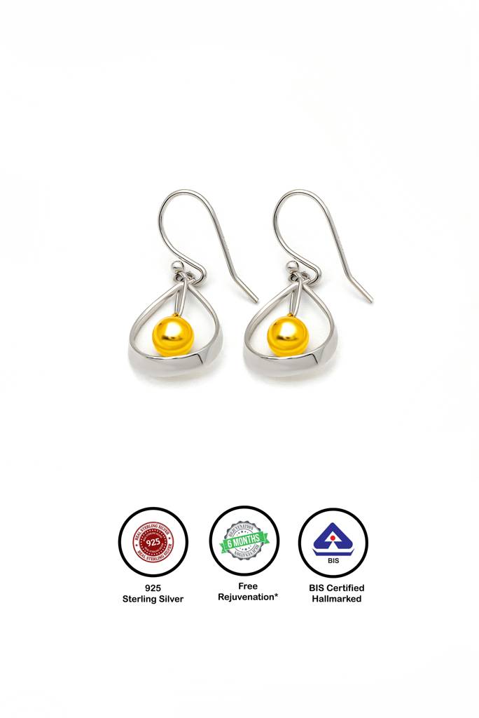 18K Gold Plated Two Tone Silver Starburst Earrings : ER2849