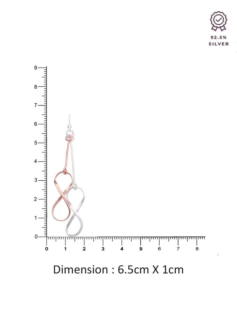 Sterling Silver Big Infinity Symbol And Drop Earrings : ERDN160-SRG-NA