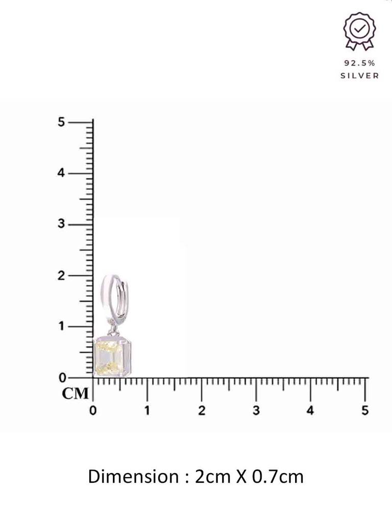 Sterling Silver Chic Drop Earrings : ERDR196-S-NA