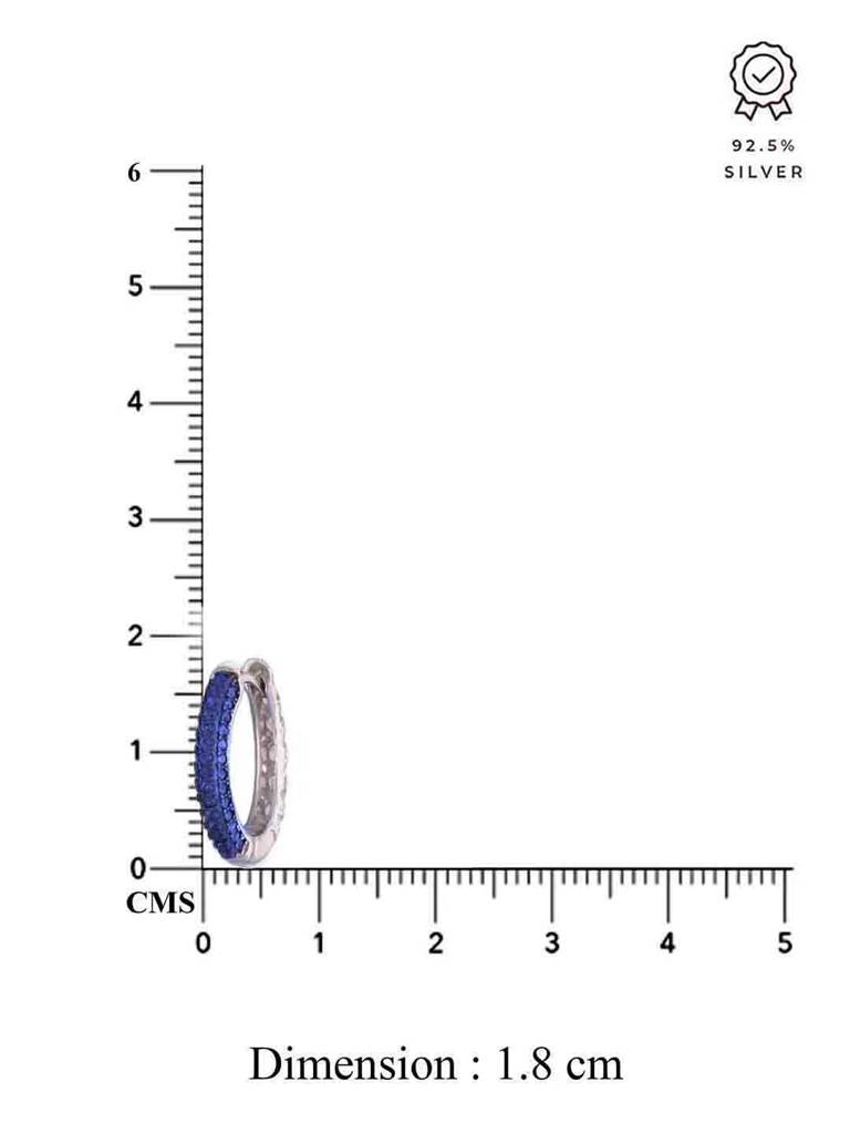 Sterling Silver Blue Zircon Hoop Earrings : ERHP149-S-NA