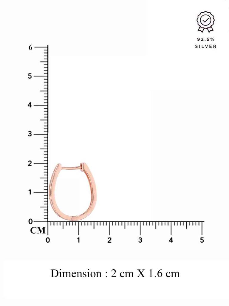 Sterling Silver Zircon Hoop Earrings : ERHP207-RG-NA