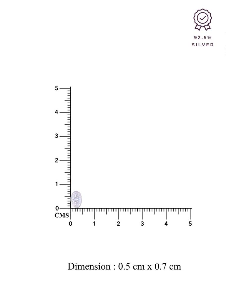 Oval Orbits Casual Sterling Silver Studs Earrings : ERSD334-S-NA