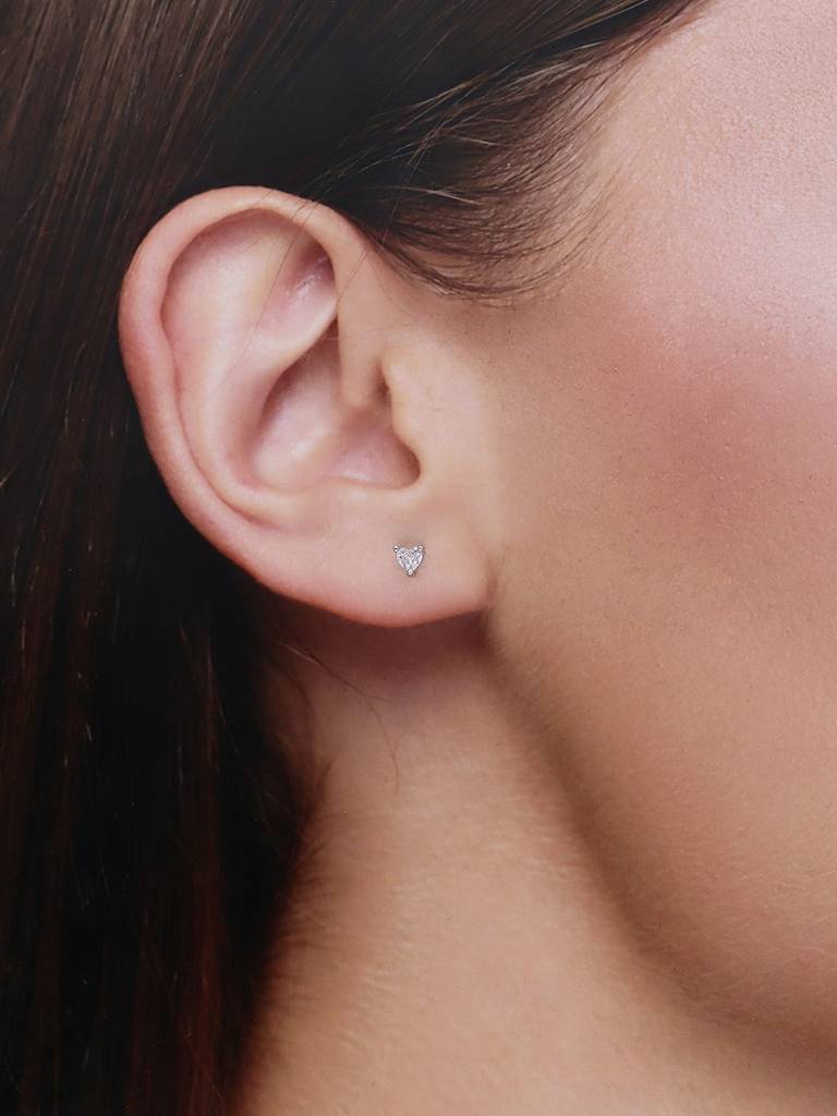 Special Hearts Silver Earrings : ERSD385-S-NA