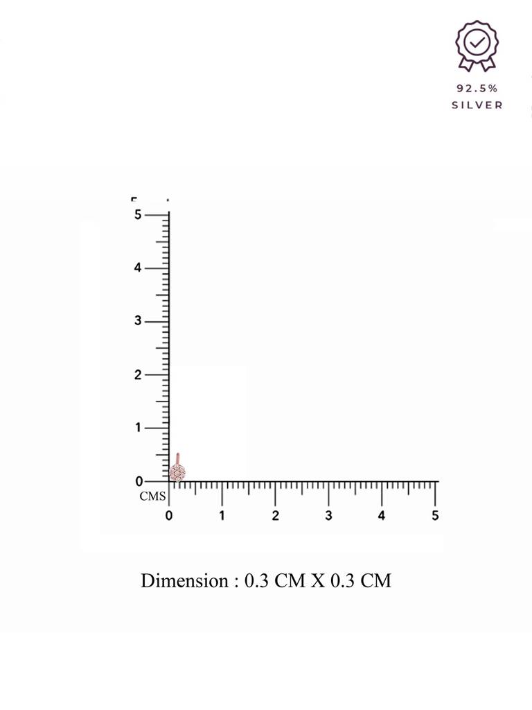 White Circle Of Serenity Circular Sterling Silver Rose Gold Earrings : ERSD583-RG-NA