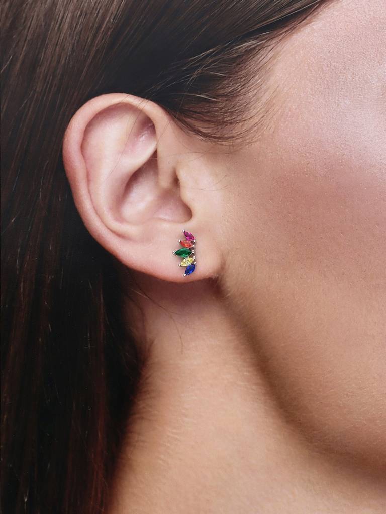 Multi Color Crown Zircon Silver Earrings : ERSD584-S-NA