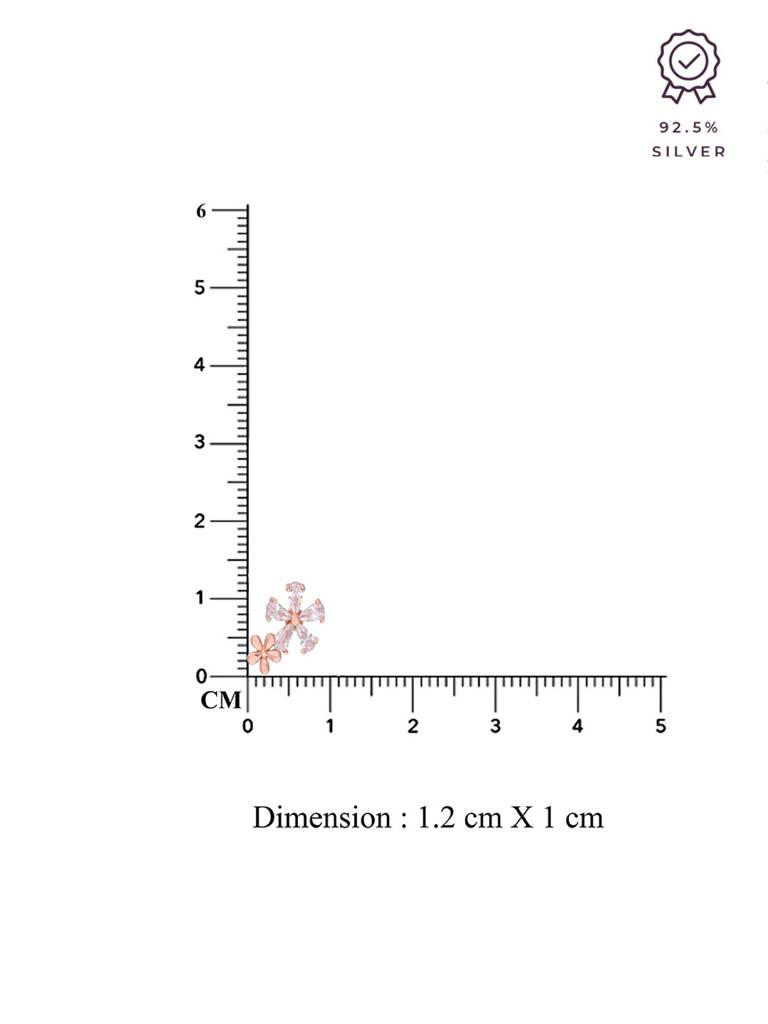 Crystal Flare Casual Silver Studs Earrings : ERSD595-RG-NA