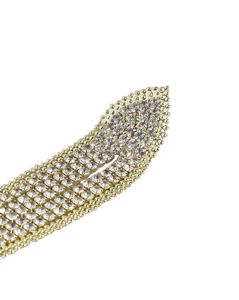 Carlton London Women Gold-Plated Cz Studded Tassel Drop Earrings : FJE4402