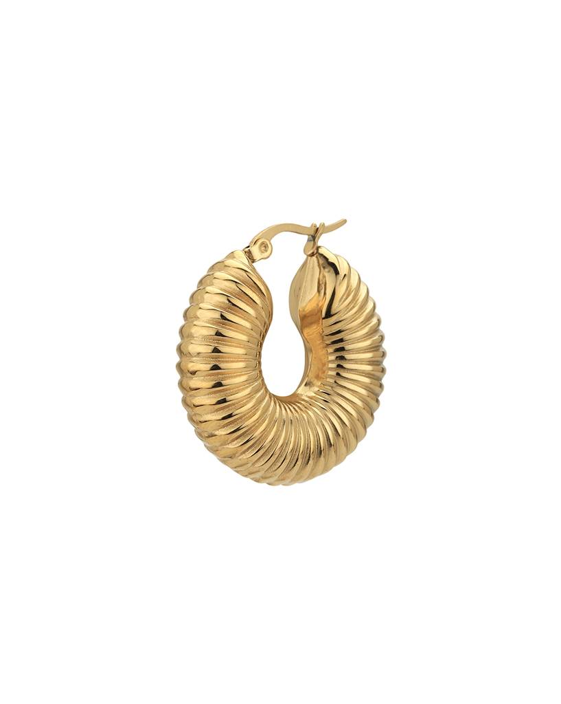 Carlton London Gold-Plated Circular Stainless Steel Hoop Earrings : FJE4872