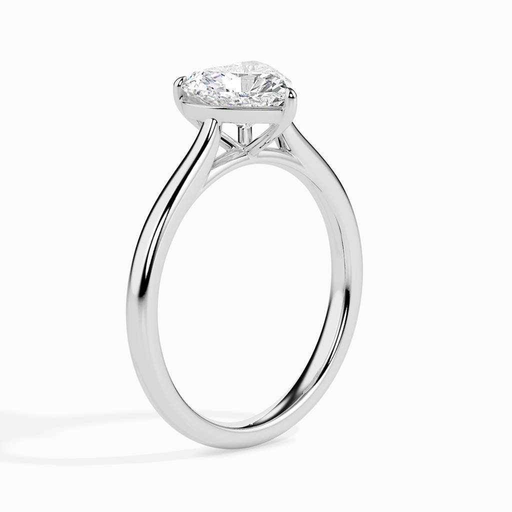 Aham 1Ct Moissanite Solitaire Ring : FRSR19008