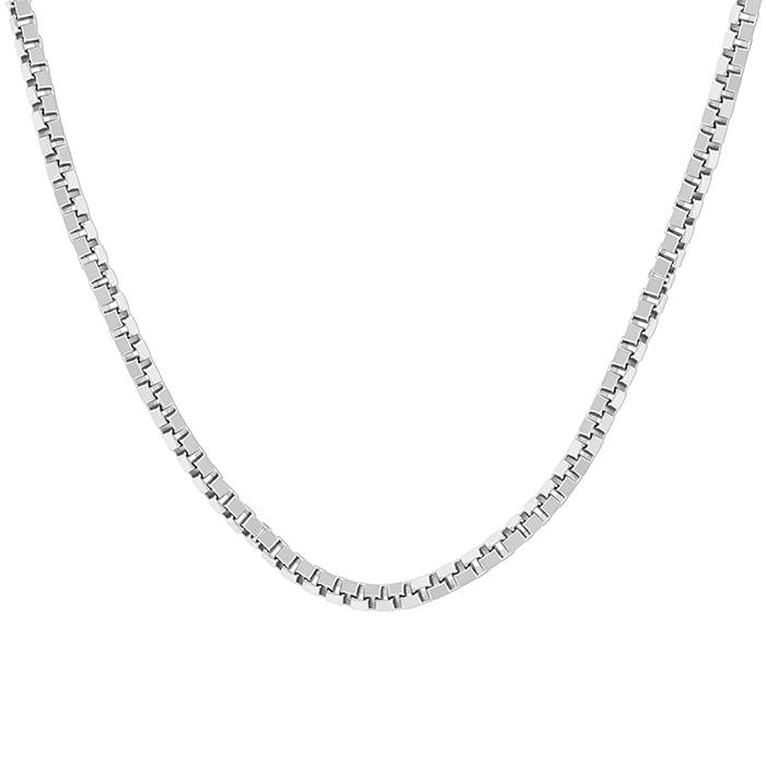 Ageless Allure Silver Chain
