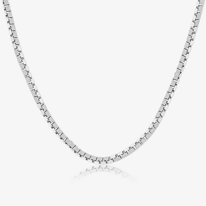 Ageless Allure Silver Chain