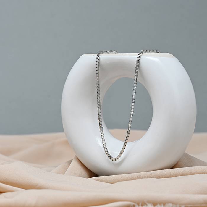 Ageless Allure Silver Chain