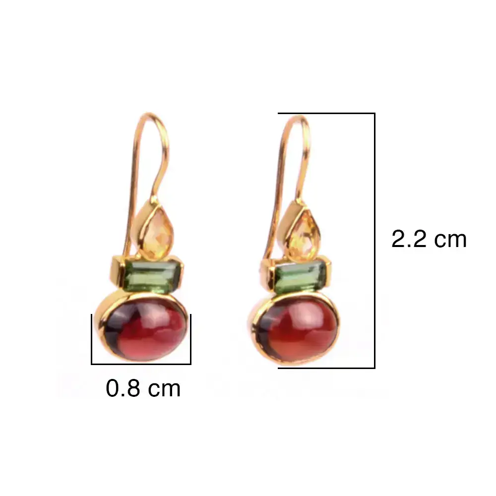 Color Riot 18K Gold Hook Earrings : GHCSER-184K